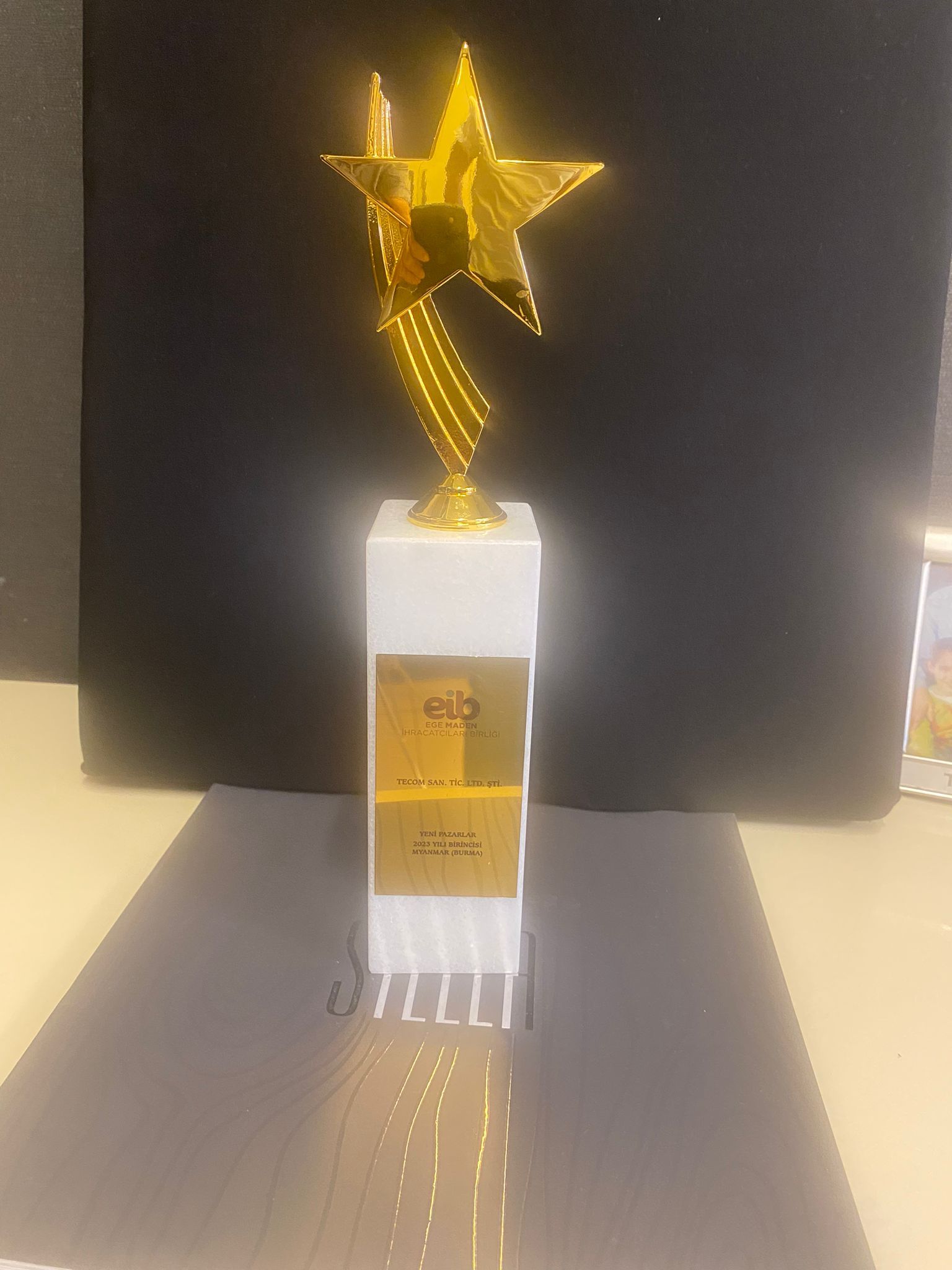 tecom award stars of export new markets award
